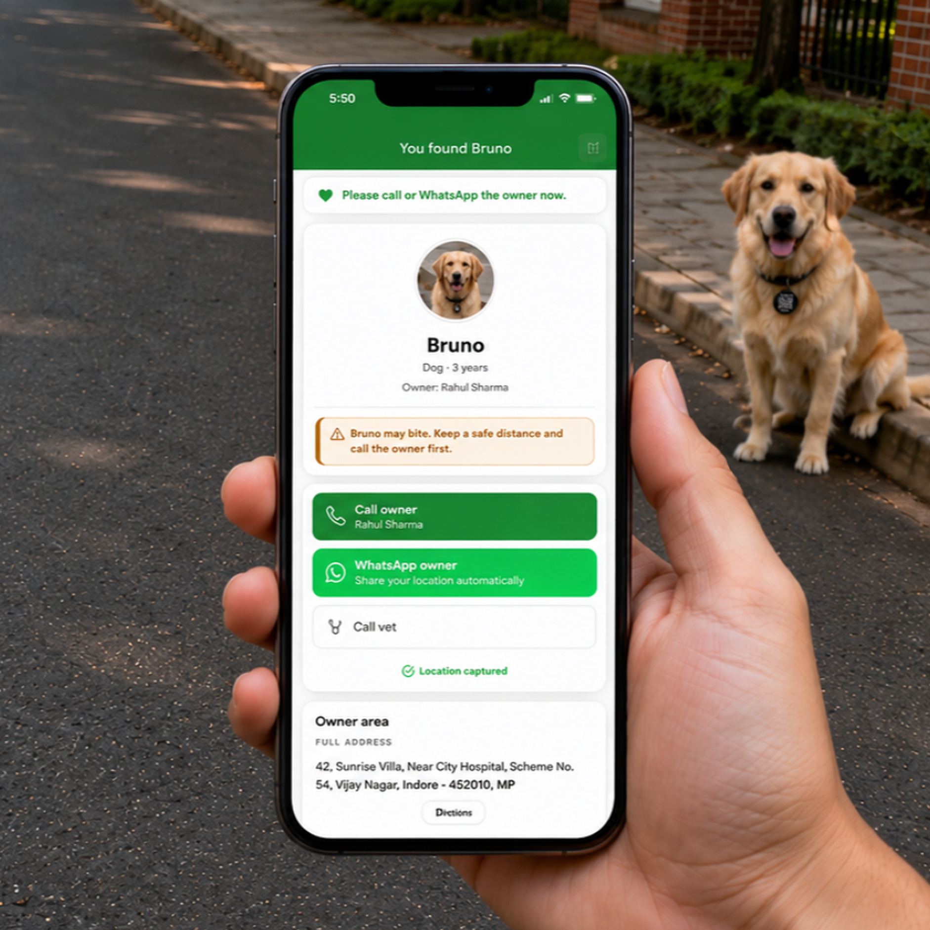 A finder holding their phone showing Bruno's pet profile after scanning the LessWorry tag, with the dog sitting on the street nearby